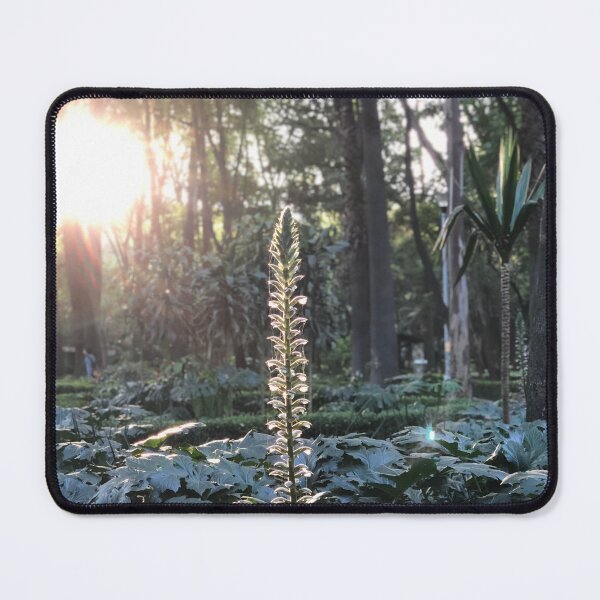 Item preview, Parque Mexico  designed and sold by MirStation-72.