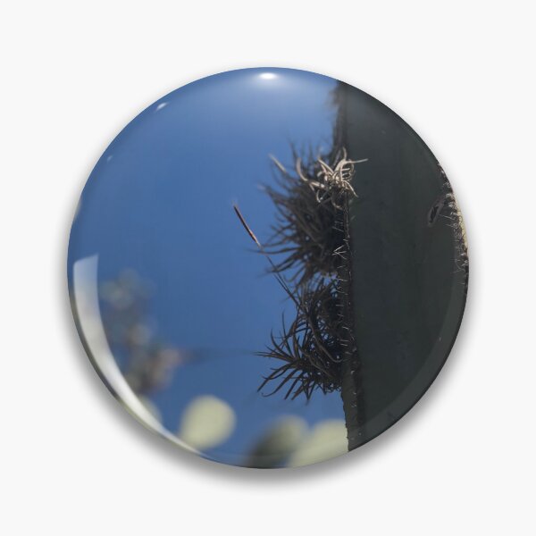 Item preview, Tillandsia Recurvata designed and sold by MirStation-72.