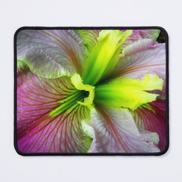 Item preview, Louisiana Iris designed and sold by JuliaWright.