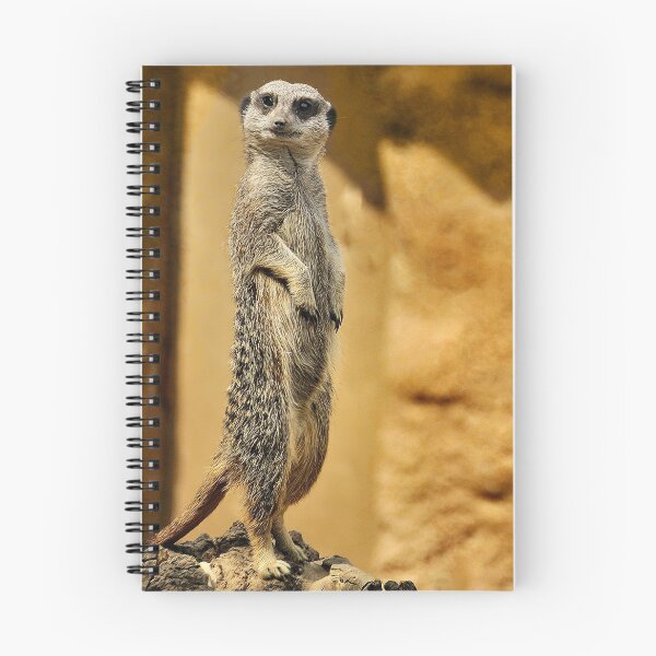Item preview, Meerkat,  London Zoo designed and sold by LudaNayvelt.