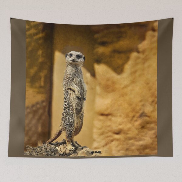 Item preview, Meerkat,  London Zoo designed and sold by LudaNayvelt.