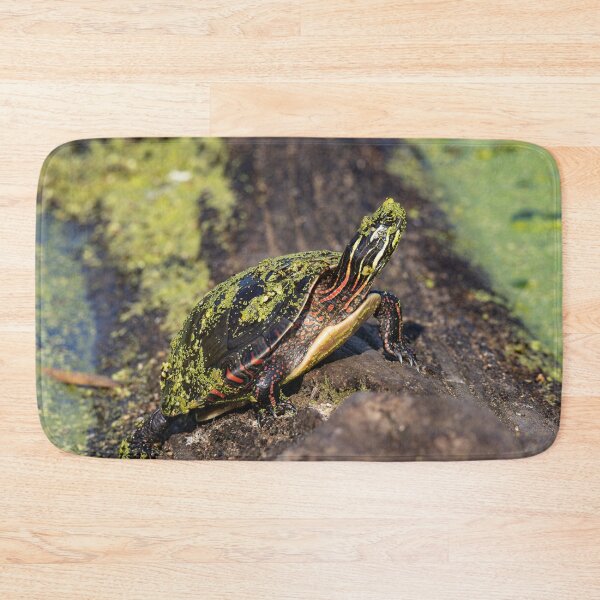 Item preview, Turtle designed and sold by SkyeNotions.