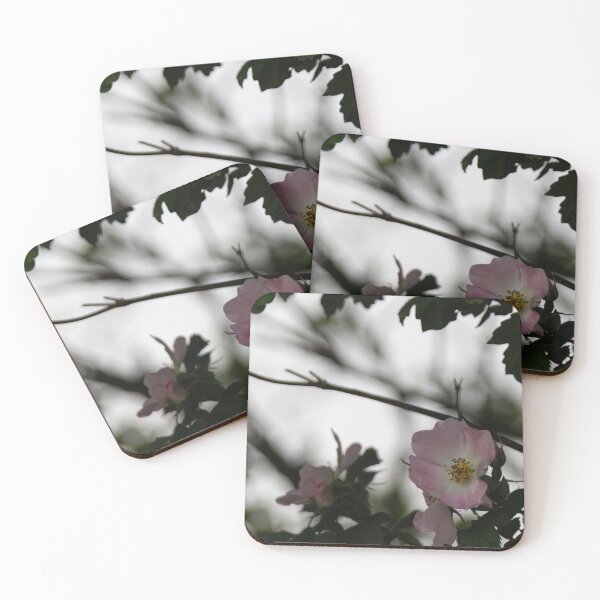 Item preview, Wild Rose designed and sold by Calidris Fotografie Steffi & Ben Köppler.