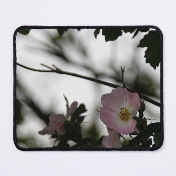 Item preview, Wild Rose designed and sold by Calidris Fotografie Steffi & Ben Köppler.