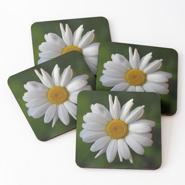Item preview, Dog Daisy designed and sold by Calidris Fotografie Steffi & Ben Köppler.