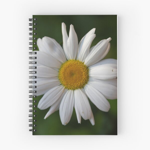 Item preview, Dog Daisy designed and sold by Calidris Fotografie Steffi & Ben Köppler.
