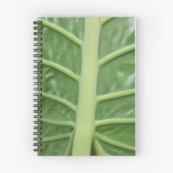Item preview, Banana leaf designed and sold by GasconyPassion.