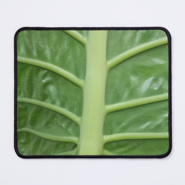 Item preview, Banana leaf designed and sold by GasconyPassion.