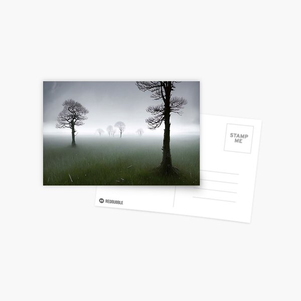 A Forest Postcard