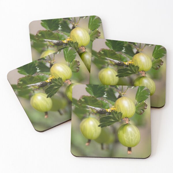 Item preview, Gooseberries designed and sold by Calidris Fotografie Steffi & Ben Köppler.