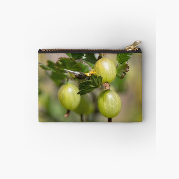 Item preview, Gooseberries designed and sold by Calidris Fotografie Steffi & Ben Köppler.