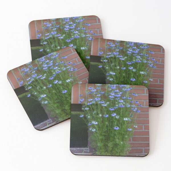 Item preview, love-in-a-mist designed and sold by Calidris Fotografie Steffi & Ben Köppler.