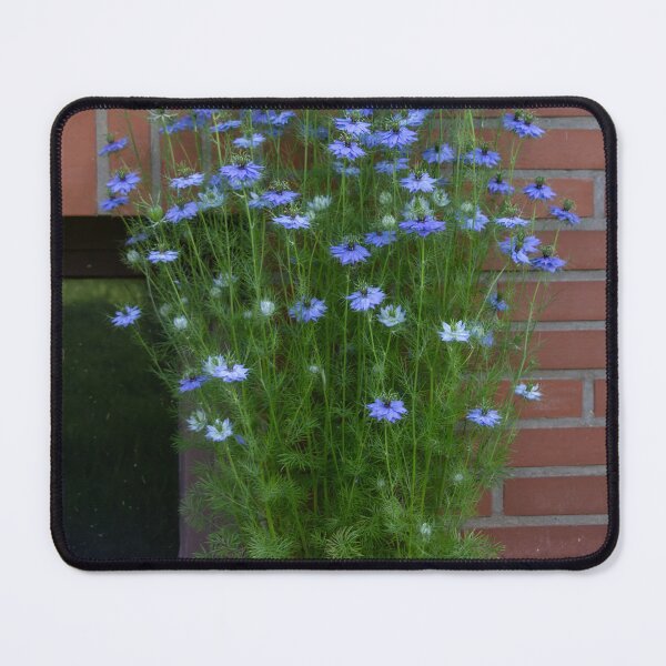 Item preview, love-in-a-mist designed and sold by Calidris Fotografie Steffi & Ben Köppler.