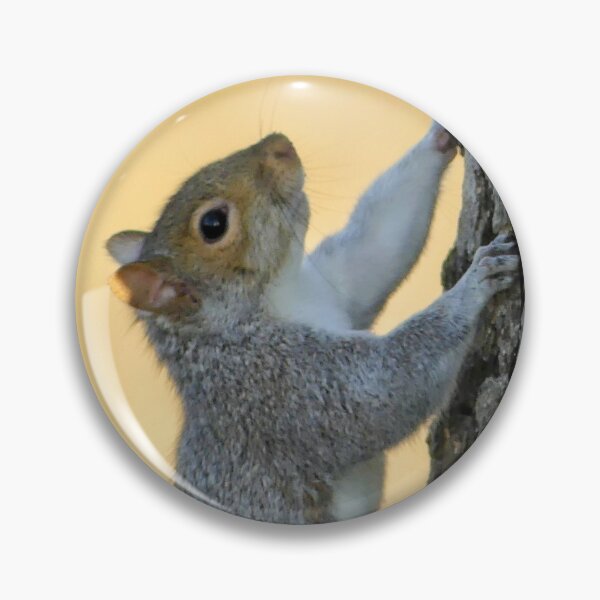 Item preview, My Squirrel Friend designed and sold by stuzle.