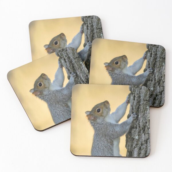Item preview, My Squirrel Friend designed and sold by stuzle.