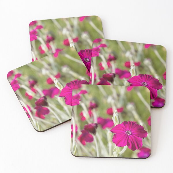 Item preview, Rose Campion designed and sold by Calidris Fotografie Steffi & Ben Köppler.