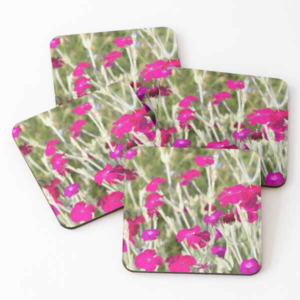 Item preview, Rose Campion designed and sold by Calidris Fotografie Steffi & Ben Köppler.