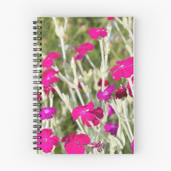 Item preview, Rose Campion designed and sold by Calidris Fotografie Steffi & Ben Köppler.