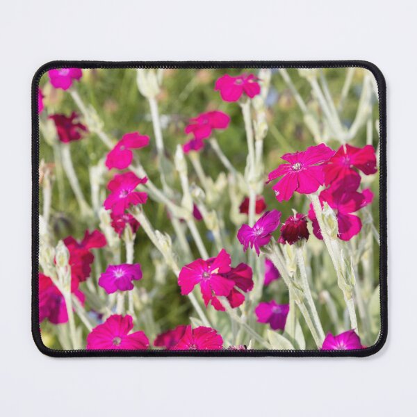 Item preview, Rose Campion designed and sold by Calidris Fotografie Steffi & Ben Köppler.