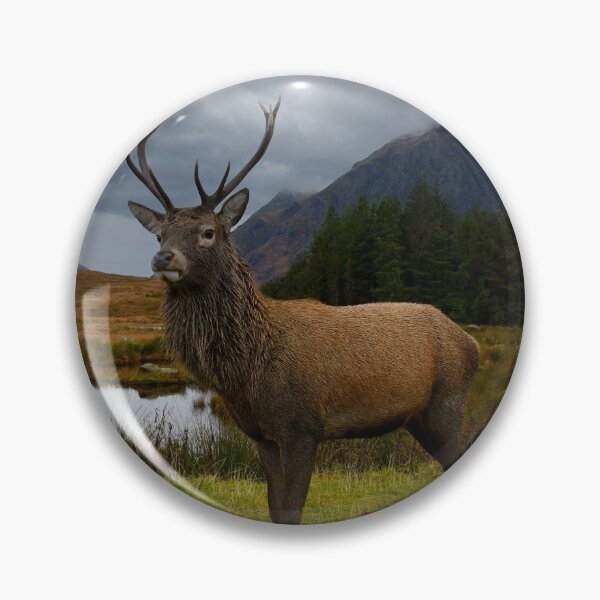 Item preview, Majestic Stag At Kingshouse Glencoe,Scotland. designed and sold by jimmys.