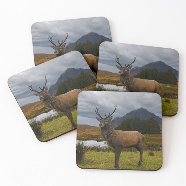 Item preview, Majestic Stag At Kingshouse Glencoe,Scotland. designed and sold by jimmys.
