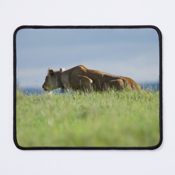 Item preview, Cunning Lioness designed and sold by annenambiro.