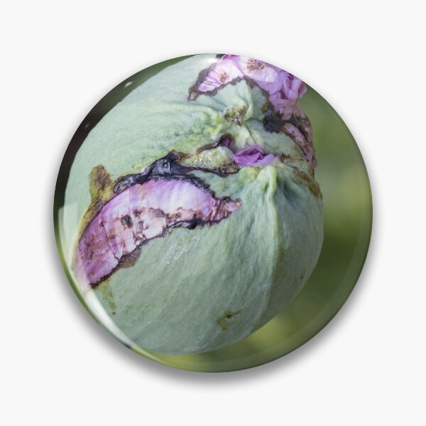 Item preview, Flower designed and sold by Calidris Fotografie Steffi & Ben Köppler.
