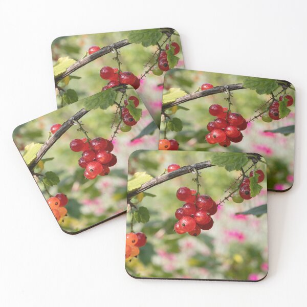 Item preview, Red Currant designed and sold by Calidris Fotografie Steffi & Ben Köppler.
