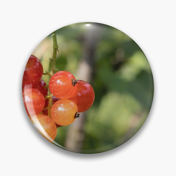 Item preview, Red Currants designed and sold by Calidris Fotografie Steffi & Ben Köppler.