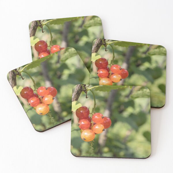 Item preview, Red Currants designed and sold by Calidris Fotografie Steffi & Ben Köppler.