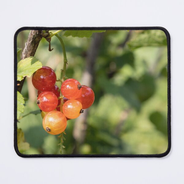 Item preview, Red Currants designed and sold by Calidris Fotografie Steffi & Ben Köppler.