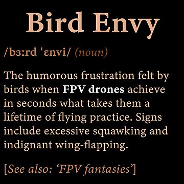 Artwork thumbnail, FPV Drone: Bird Envy - Dictionary Definition by Teesamust
