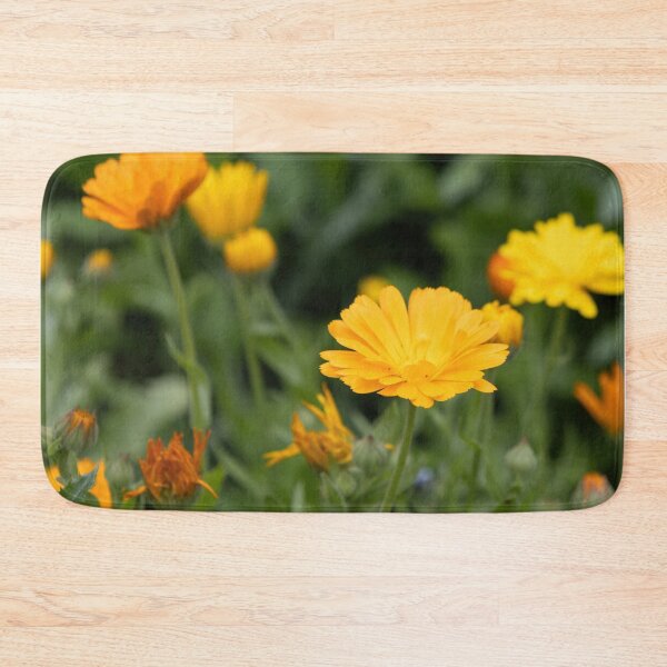 Item preview, Pot Marigold designed and sold by Calidris Fotografie Steffi & Ben Köppler.