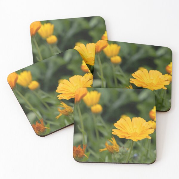 Item preview, Pot Marigold designed and sold by Calidris Fotografie Steffi & Ben Köppler.