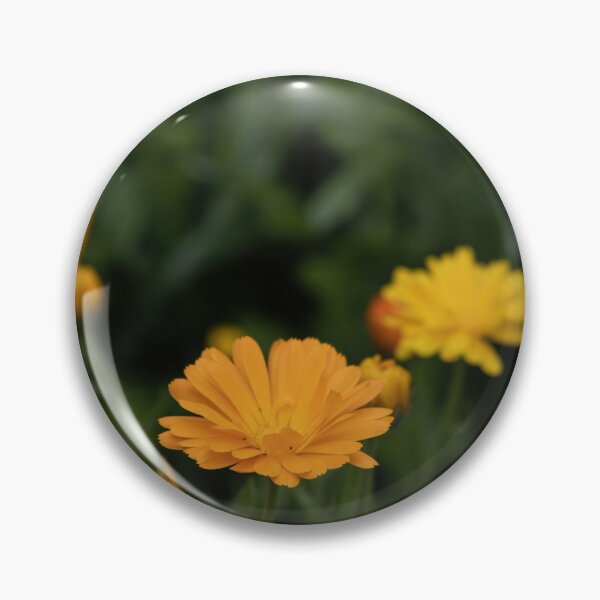 Item preview, Common Marigold designed and sold by Calidris Fotografie Steffi & Ben Köppler.