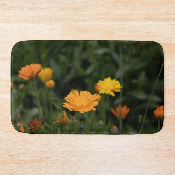 Item preview, Common Marigold designed and sold by Calidris Fotografie Steffi & Ben Köppler.