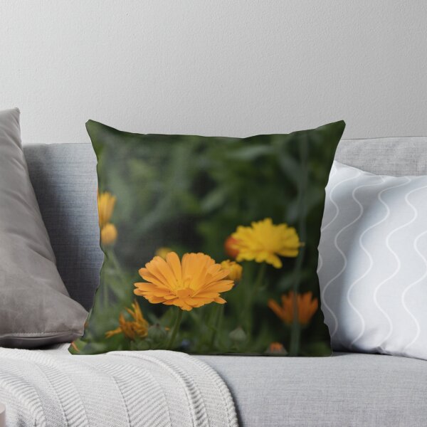 Item preview, Common Marigold designed and sold by Calidris Fotografie Steffi & Ben Köppler.