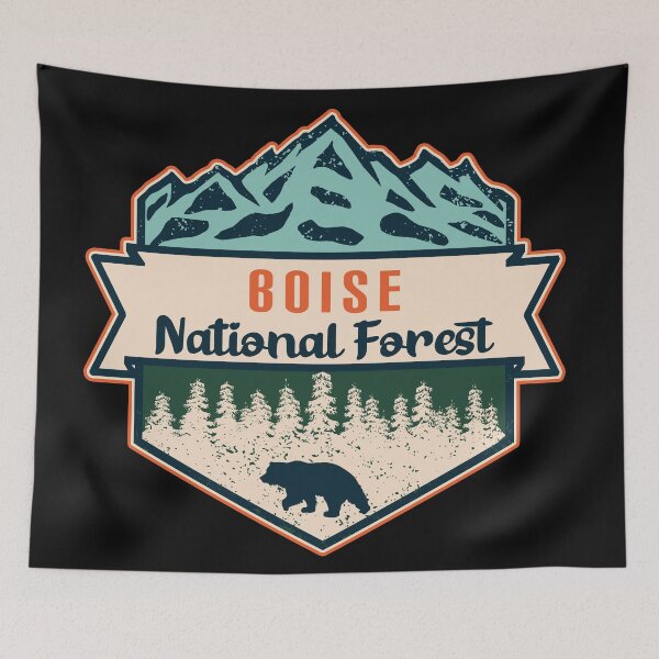 Aperçu de l'œuvre Forêt nationale de Boise créée et vendue par Nature-spirit.