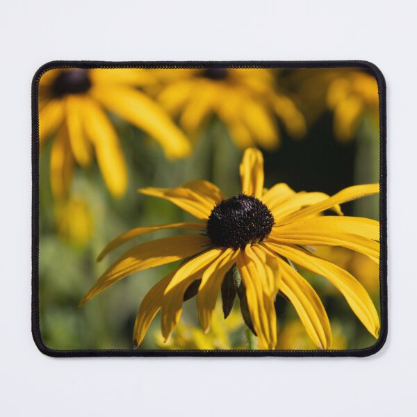 Item preview, Black-eyed Susan designed and sold by Calidris Fotografie Steffi & Ben Köppler.