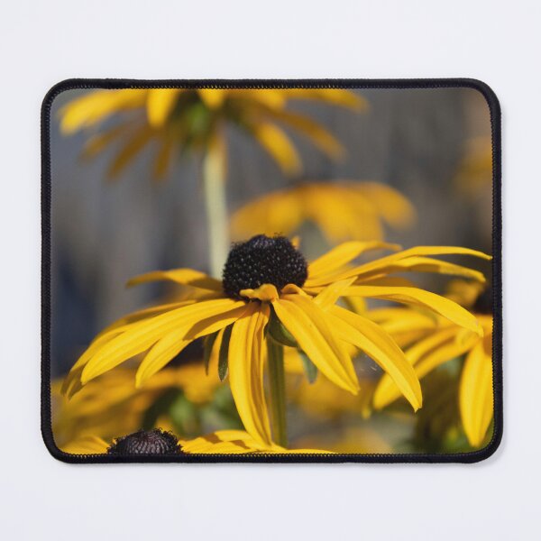 Item preview, Black-eyed Susan designed and sold by Calidris Fotografie Steffi & Ben Köppler.