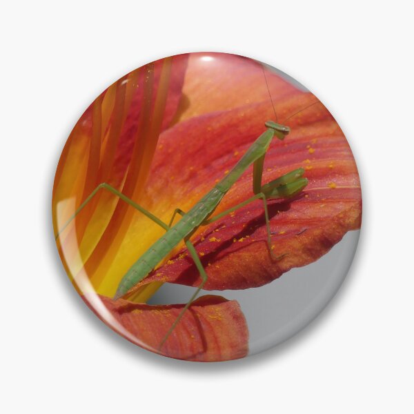 Item preview, Praying Mantis on a Daylily designed and sold by stuzle.