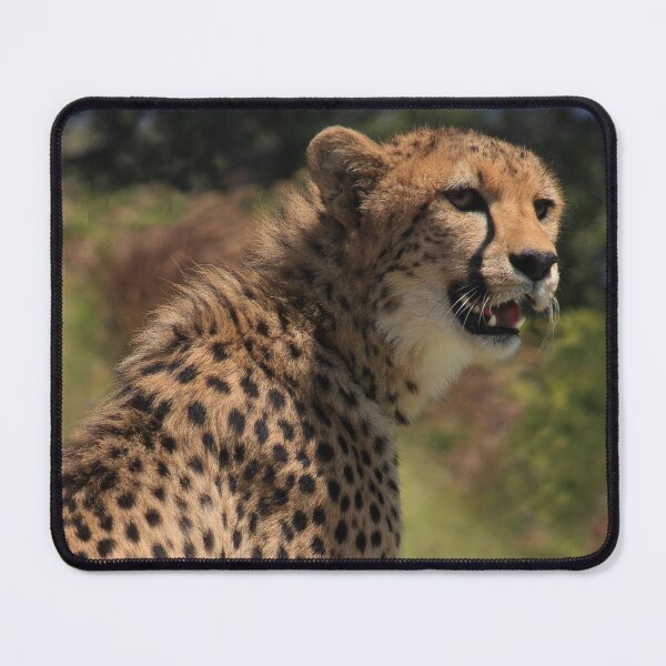 Item preview, Hey you! Have a Good Day, Now Go Away! designed and sold by heatherfriedman.