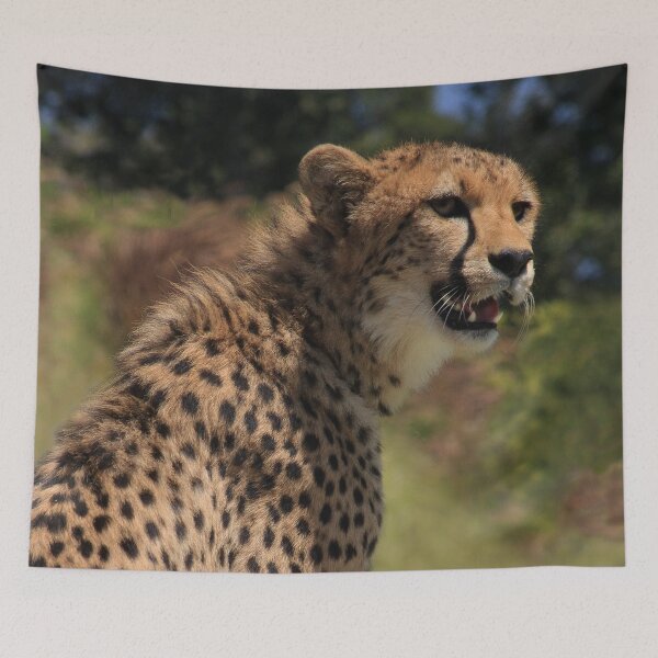 Item preview, Hey you! Have a Good Day, Now Go Away! designed and sold by heatherfriedman.