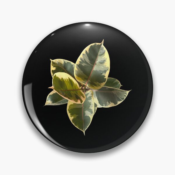 Item preview, Ficus elastica tineke designed and sold by Meo Design.