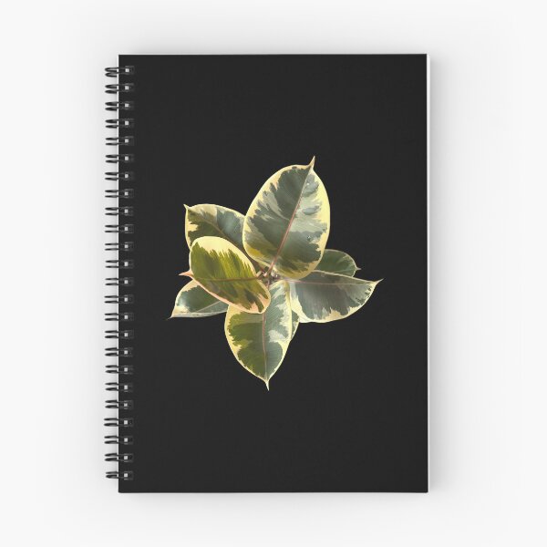 Item preview, Ficus elastica tineke designed and sold by Meo Design.