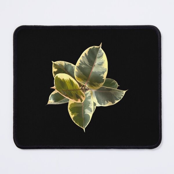Item preview, Ficus elastica tineke designed and sold by Meo Design.