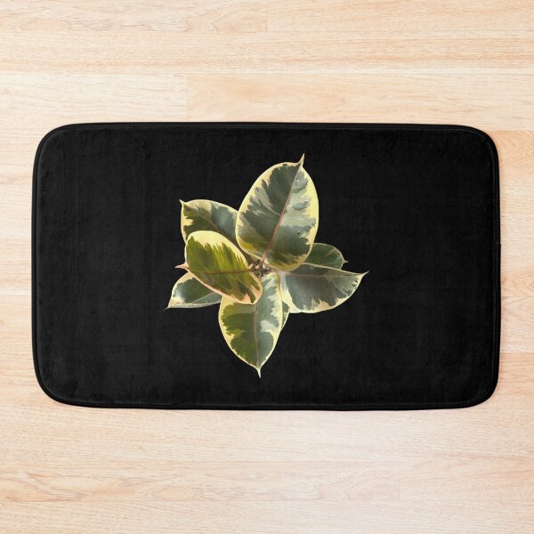 Item preview, Ficus elastica tineke designed and sold by Meo Design.