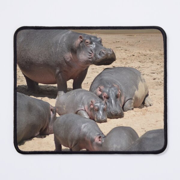 Item preview, Huge Hippopotami designed and sold by annenambiro.