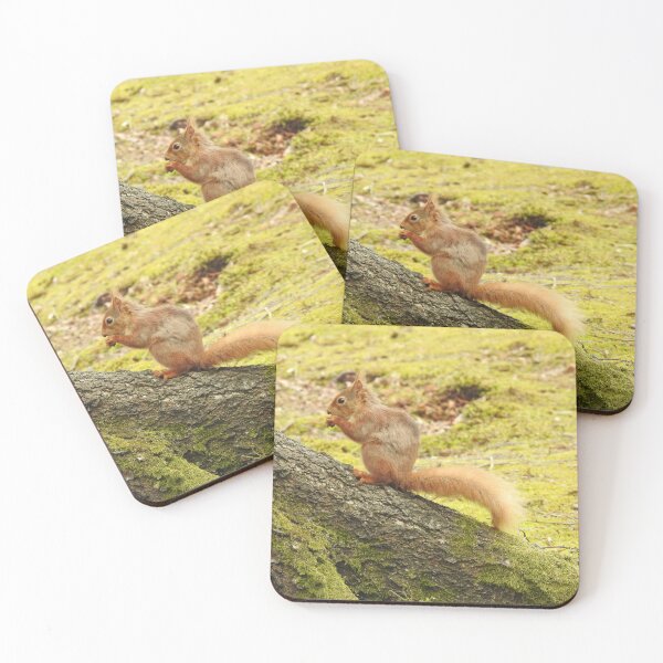 Item preview, Red Squirrel eating nut while standing on diagonal tree trunk designed and sold by TwistedClassics.