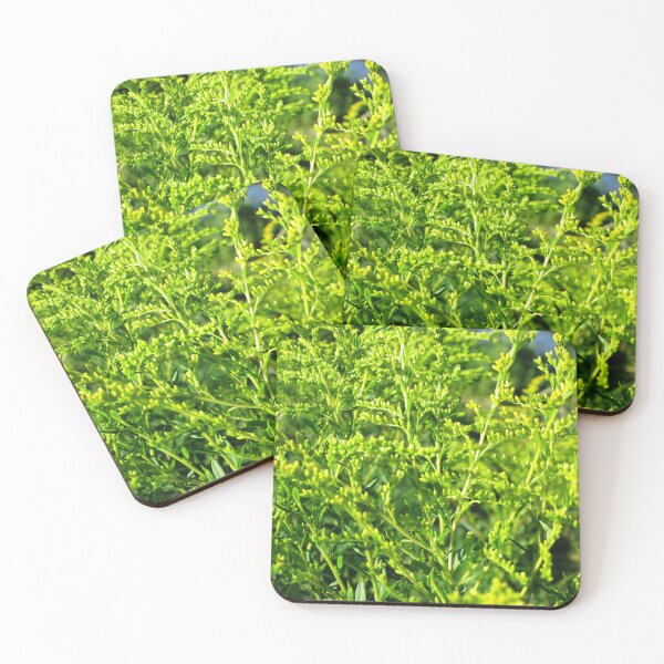Item preview, Green grass aesthetic plants art photography | lime green grass summer meadow photography designed and sold by lausn.